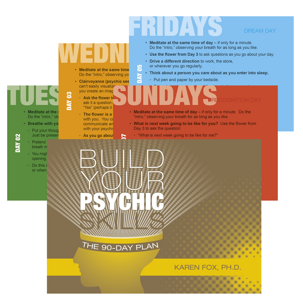 Build Your Psychic Skills The 90 Day Plan Cards Schiffer Publishing Schiffer Publishing