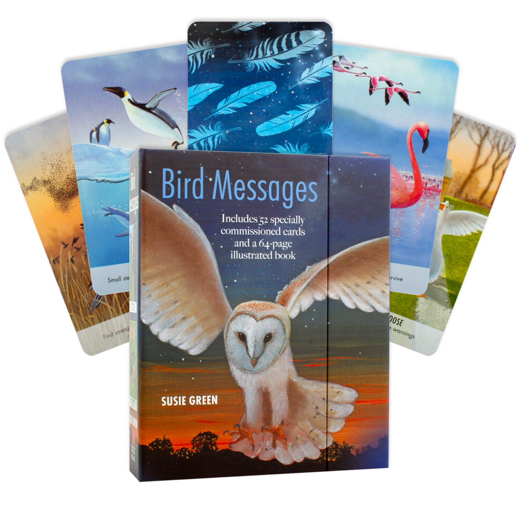 Bird Messages Cards Cico Books Cico Books