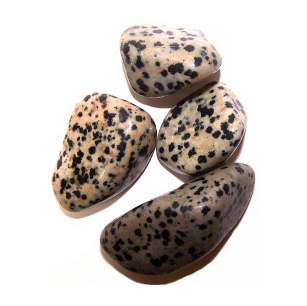 Large Tumble Stones - Dalmatian Jasper (24x) Ancient Wisdom Ancient Wisdom