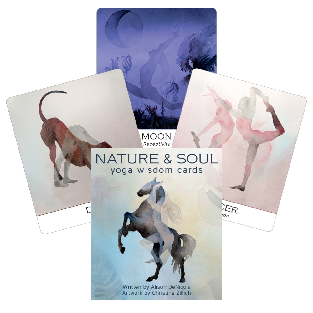 Nature and Soul Yoga Wisdom cards US Games Systems US Games Systems