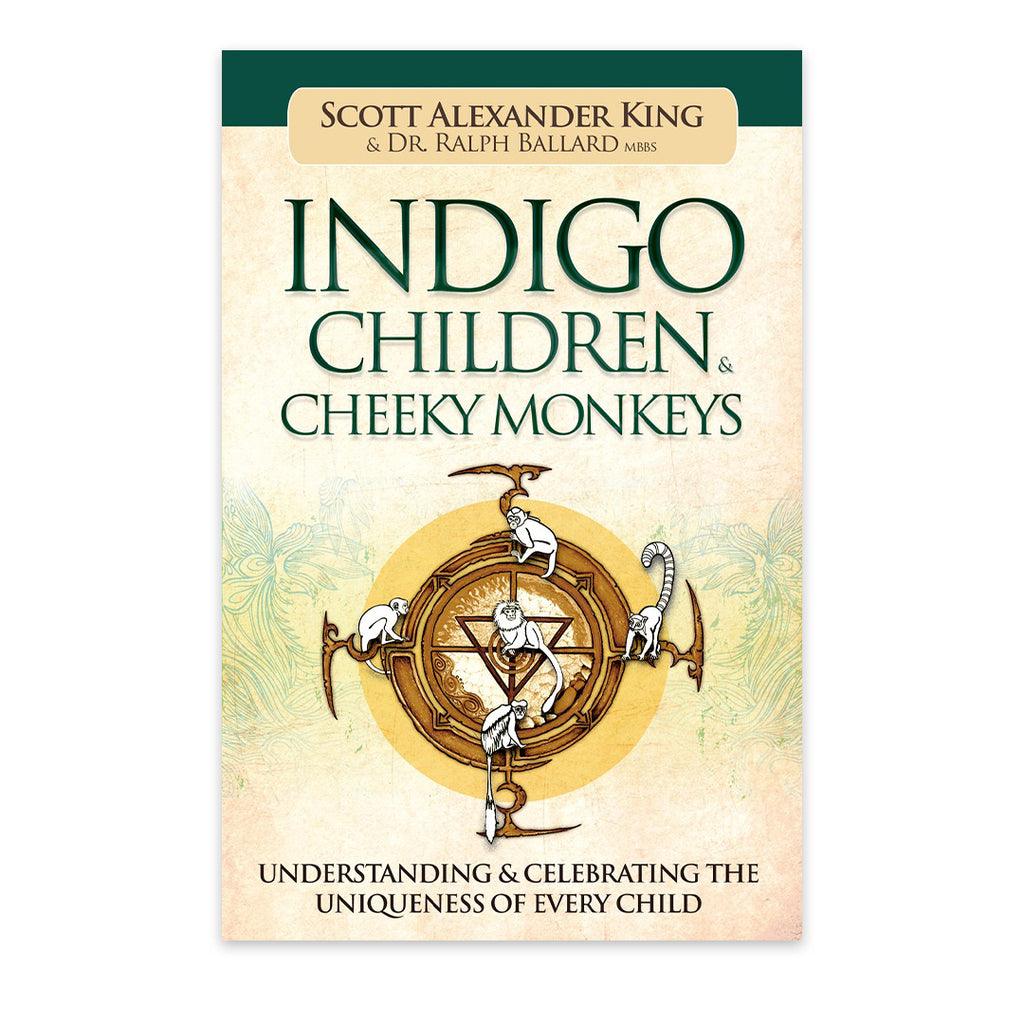 Indigo Children & Cheeky Monkeys: Understanding & Celebrating the Uniqueness of Every Child  Book Blue Angel Blue Angel