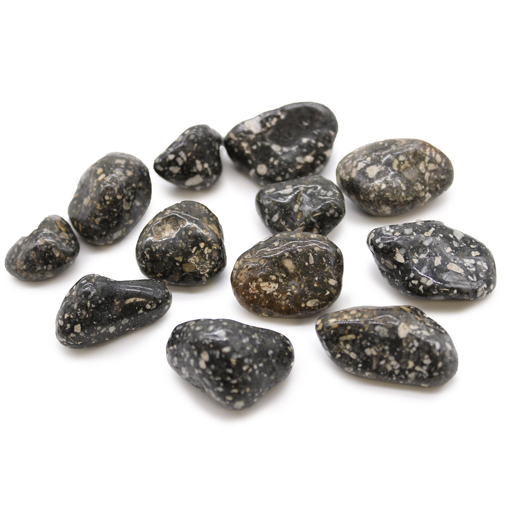 Medium African Tumble Stones (12x) - Guinea Fowl Ancient Wisdom Ancient Wisdom