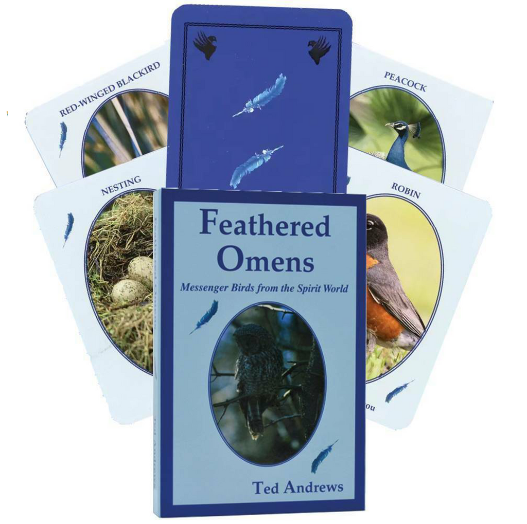 Feathered Omens Spiritual Cards Dragonhawk Publishing Dragonhawk Publishing