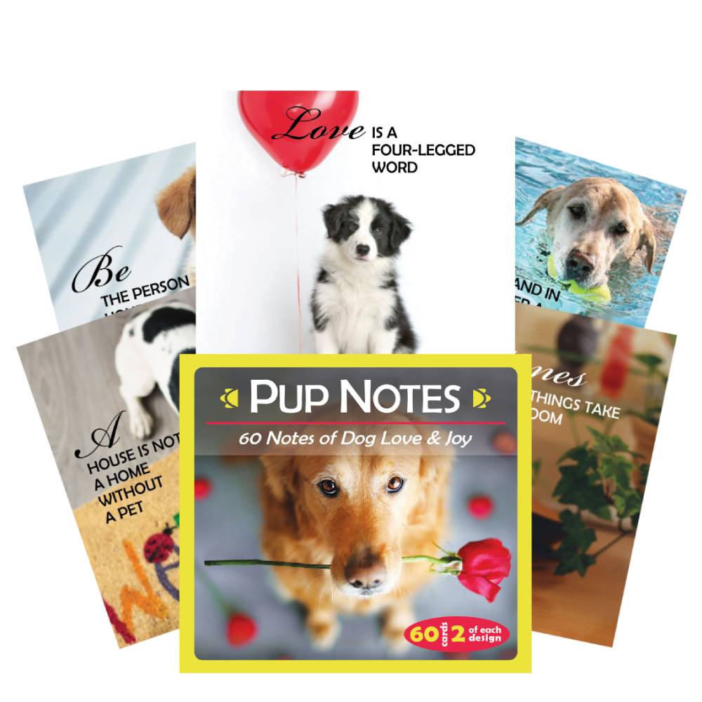Inspirational Pup Notes 60 Notes Of Dog Love And Joy Cards US Games Systems US Games Systems