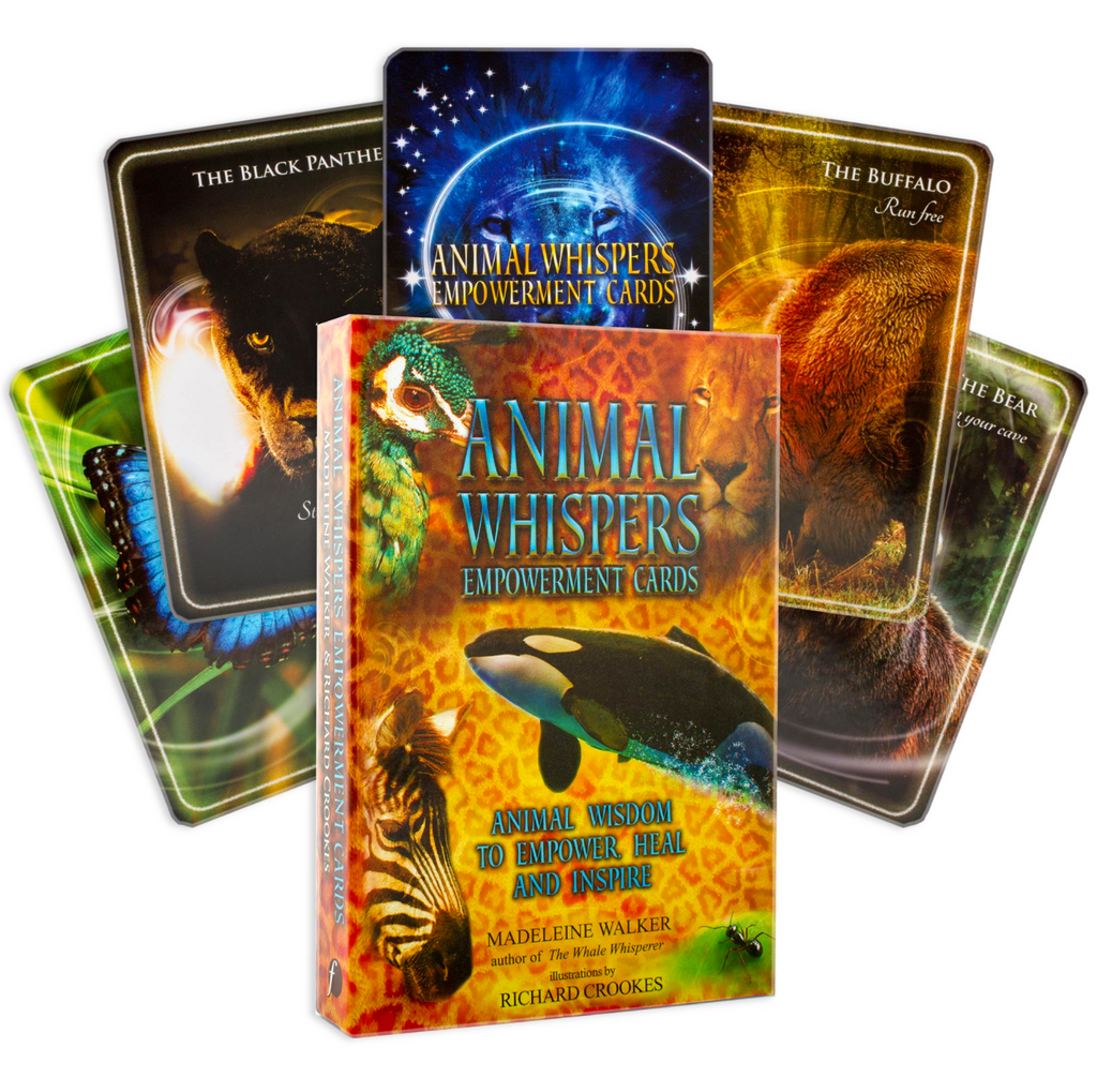 Animal Whispers Empowerment Cards Findhorn Press Findhorn Press