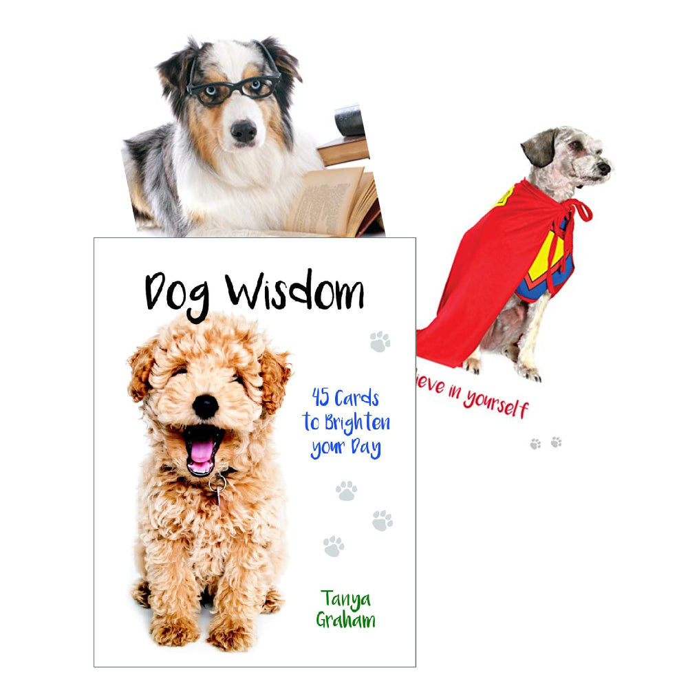 Inspirational cards Dog Wisdom Blue Angel Blue Angel