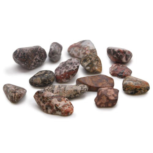 Medium Tumble Stones - Leopard Skin Jasper (24x) Ancient Wisdom Ancient Wisdom