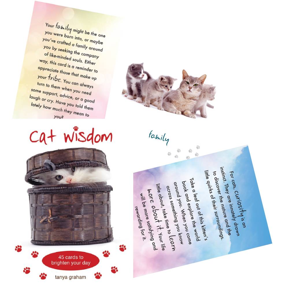 Cat Wisdom cards Blue Angel Blue Angel