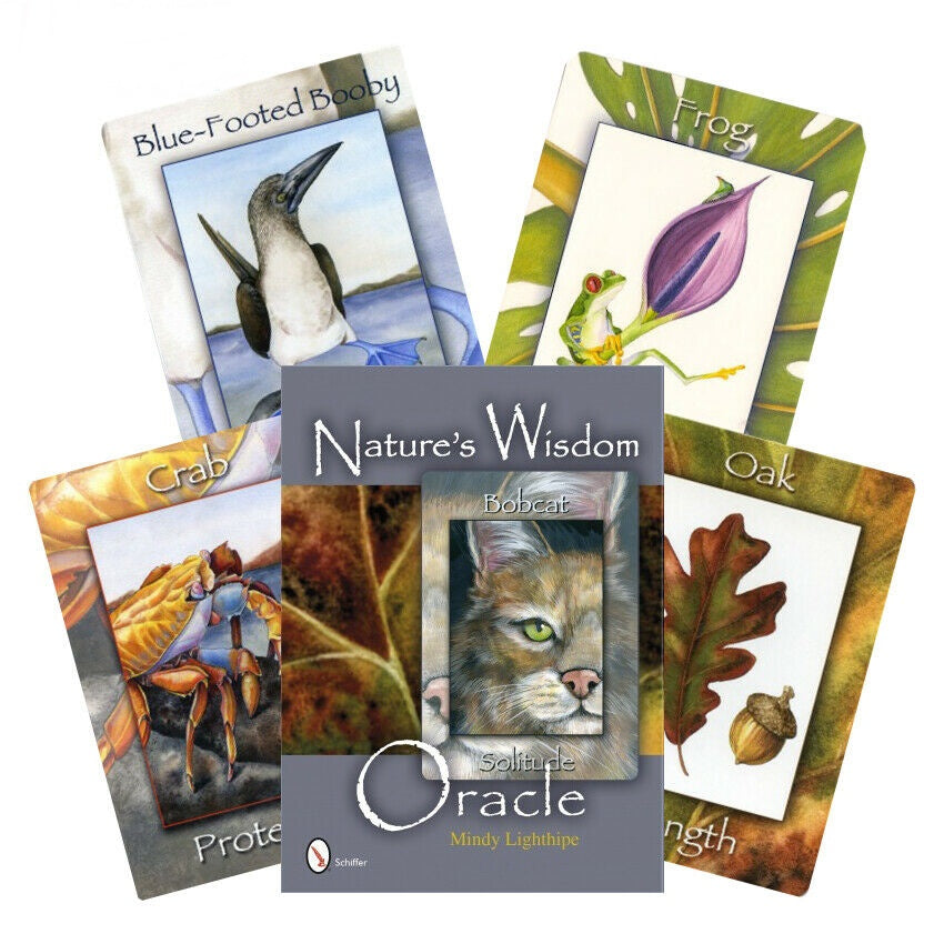 Natures Wisdom Oracle Tarot Cards Schiffer Publishing Schiffer Publishing