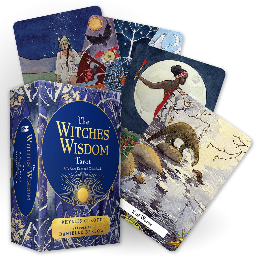 The Witches Wisdom Tarot cards Hay House (Standard Edition) Hay House