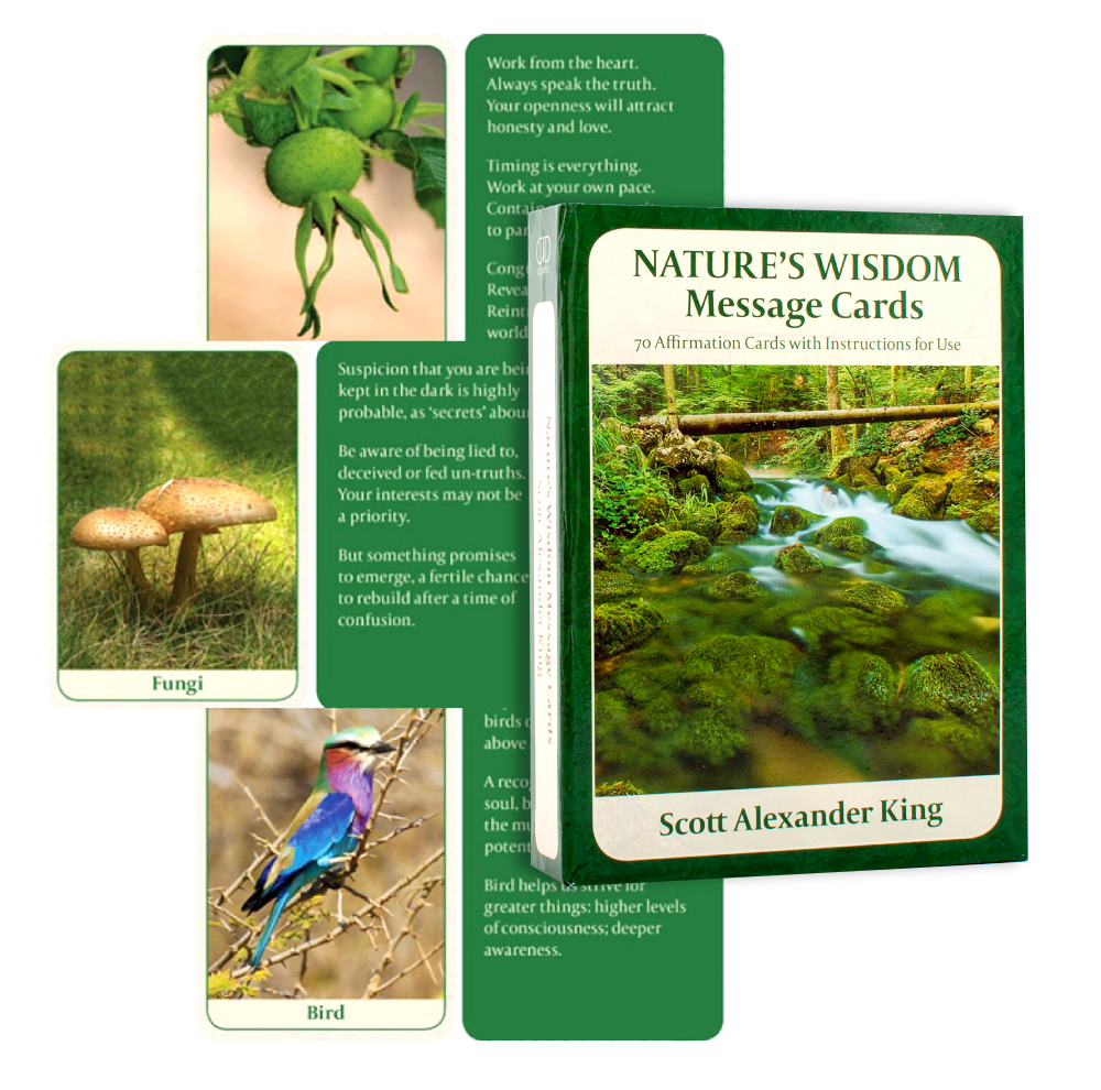 Natures Wisdom Mini message cards Animal Dreaming Animal Dreaming
