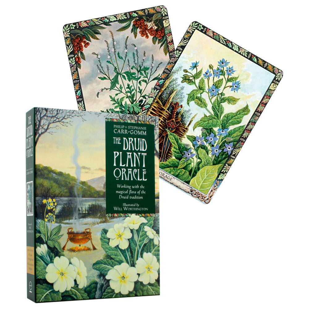 The Druid Plant Oracle Cards Welbeck Publishing Welbeck Publishing