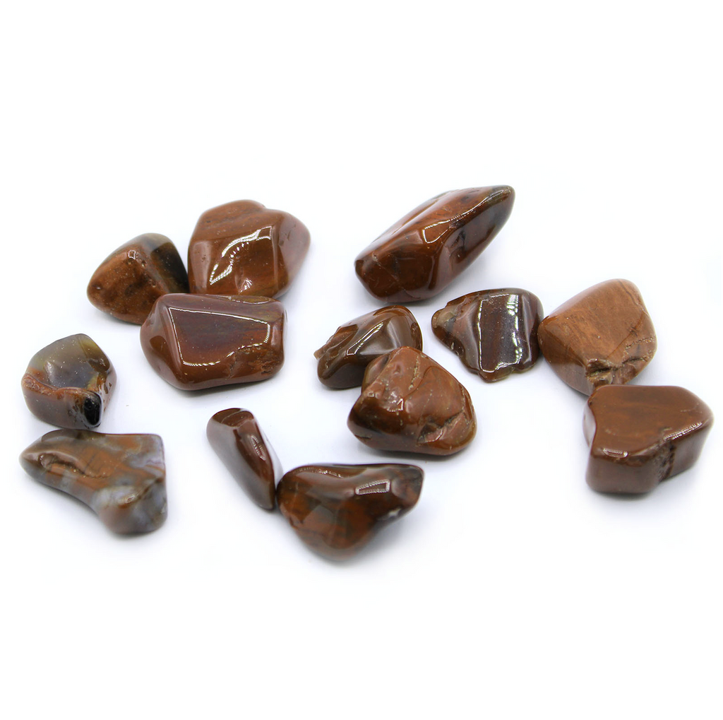 Large Tumble Stones - Petrified Wood (24x) Ancient Wisdom Ancient Wisdom