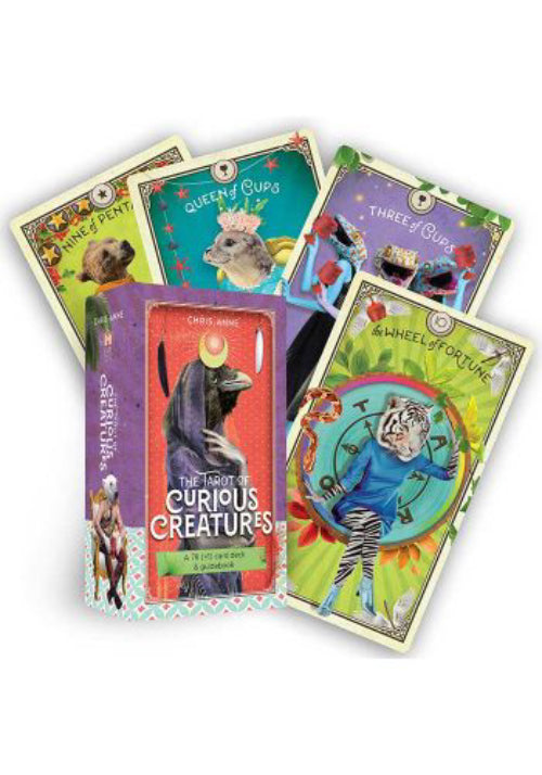 The Tarot of Curious Creatures cards and guidebook Hay House Hay House
