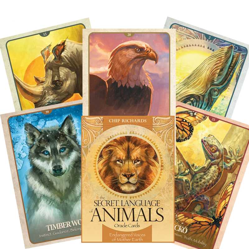 The Secret Language of Animals Oracle cards Blue Angel Blue Angel
