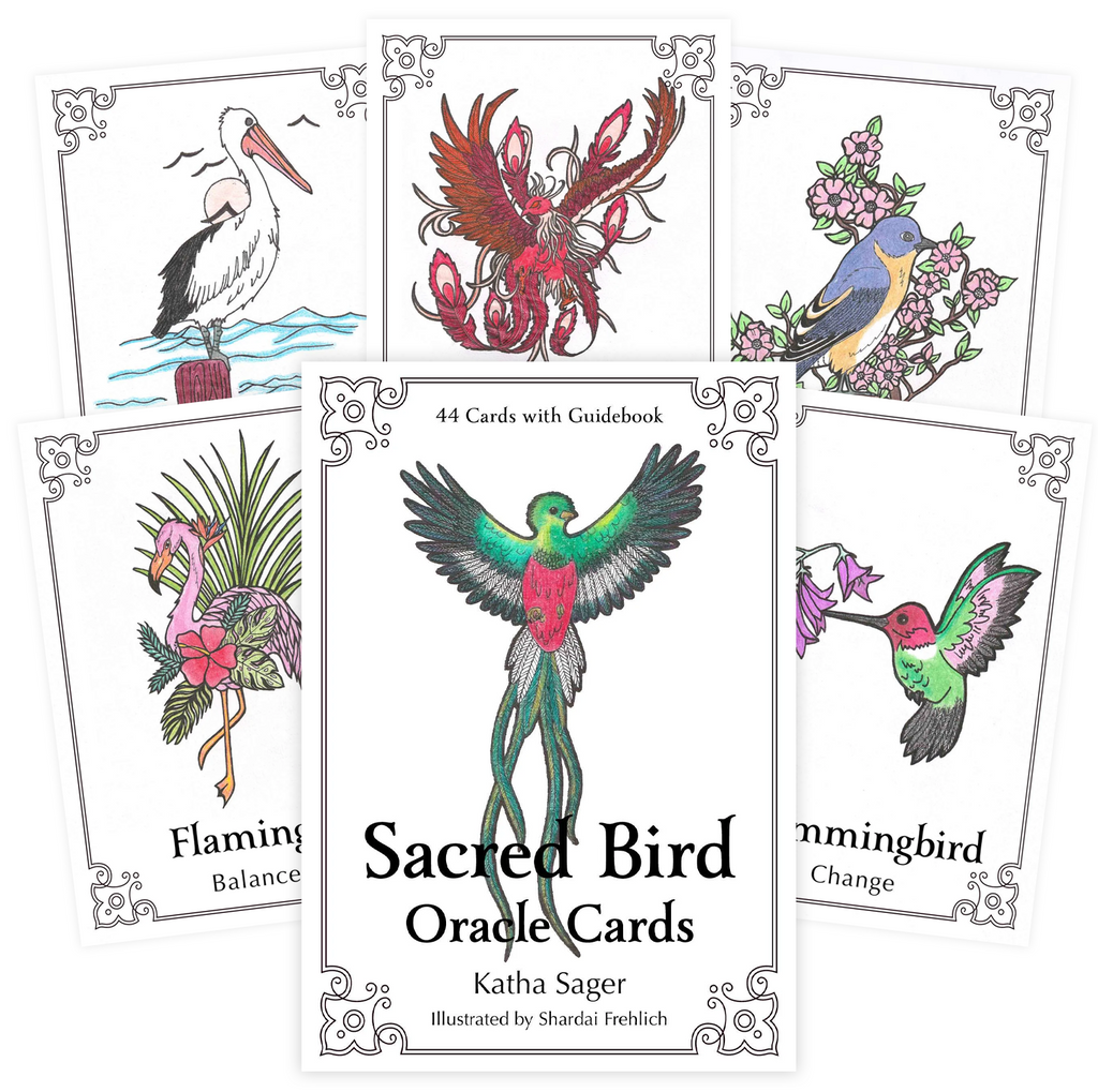 Sacred Bird Oracle Cards Animal Dreaming Animal Dreaming