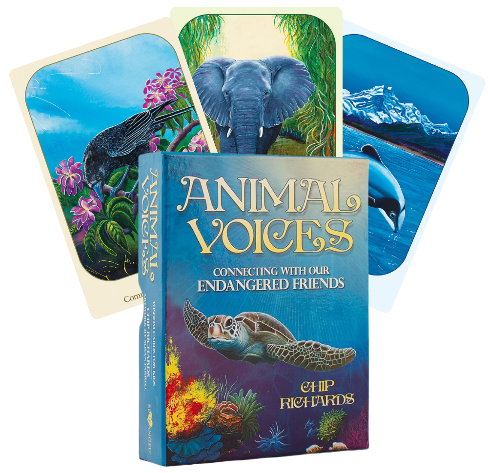 Animal Voices Oracle Cards Blue Angel Blue Angel